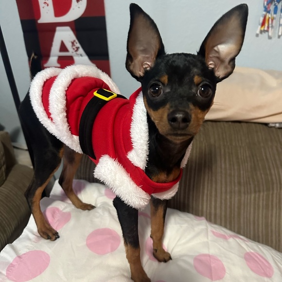 Meet your Posher, Pati - Picture 8 of 9